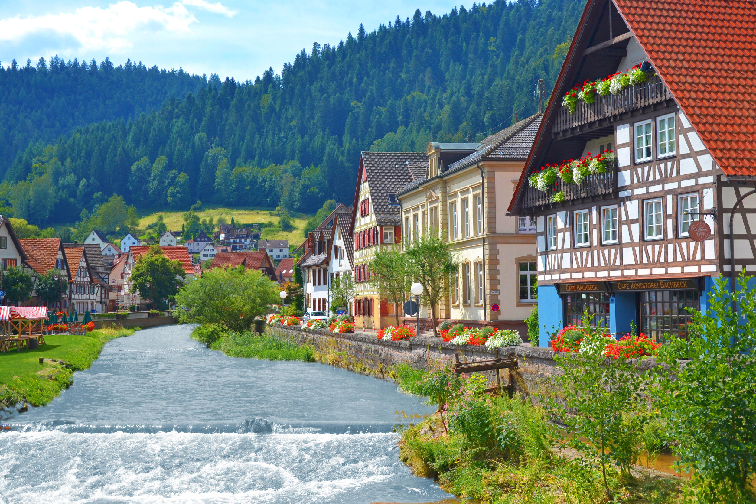 Mit Volldampf durch den malerischen Schwarzwald