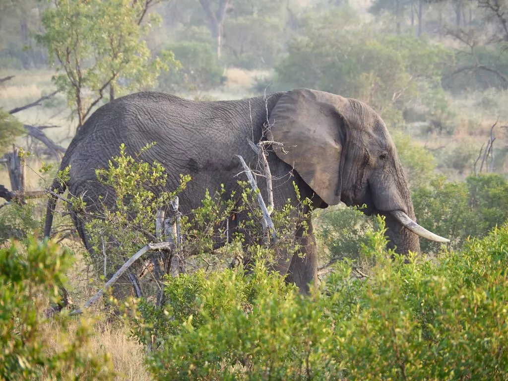 15 Tage Rundreise Südafrika Sternstunden 15 Tage Rundreise Südafrika Sternstunden