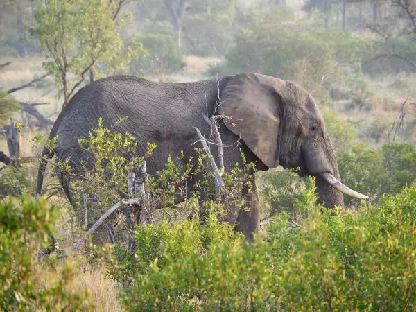15 Tage Rundreise Südafrika Sternstunden 15 Tage Rundreise Südafrika Sternstunden